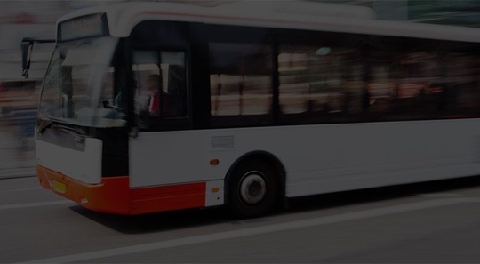 Morici, Longo & Associates