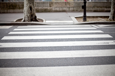 crosswalk and tree