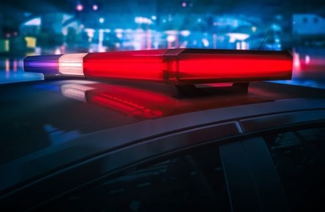 Morici, Longo & Associates